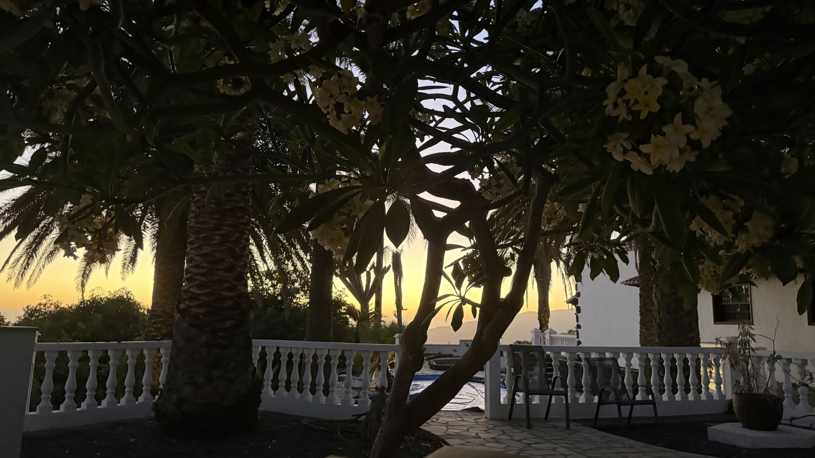 Terrasse mit Plumeria-Baum bei Sonnenuntergang